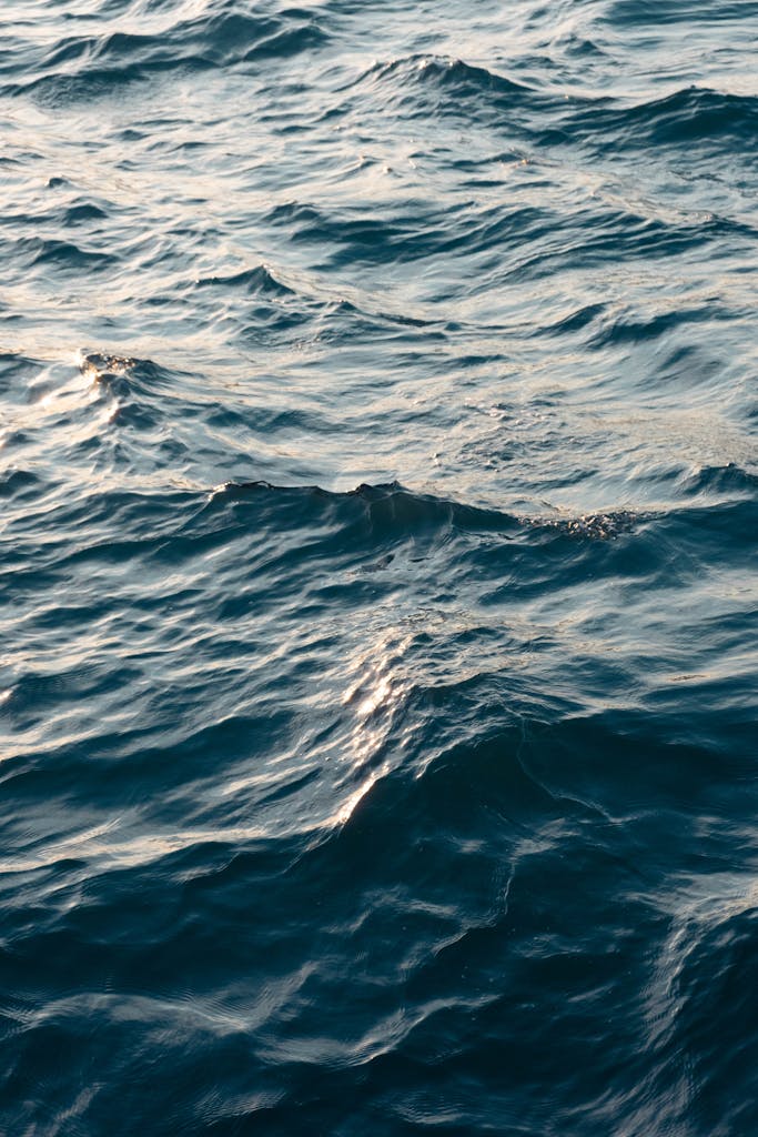 Tranquil ocean waves with gentle light, creating a peaceful nature scene.